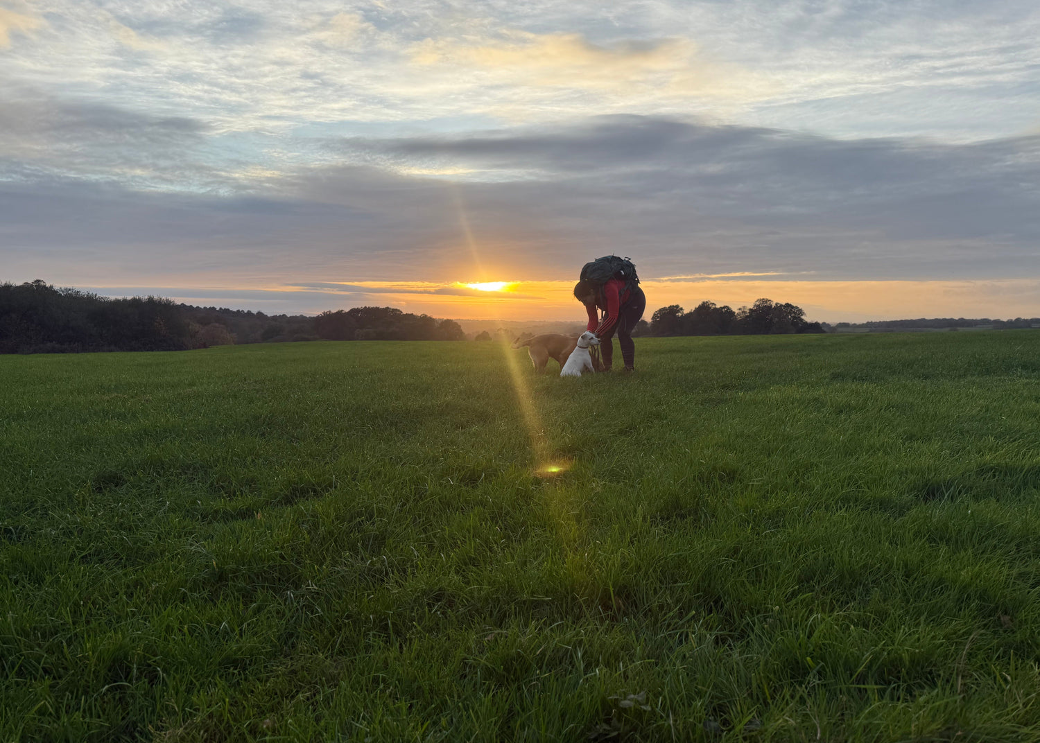 1066 Country Walk