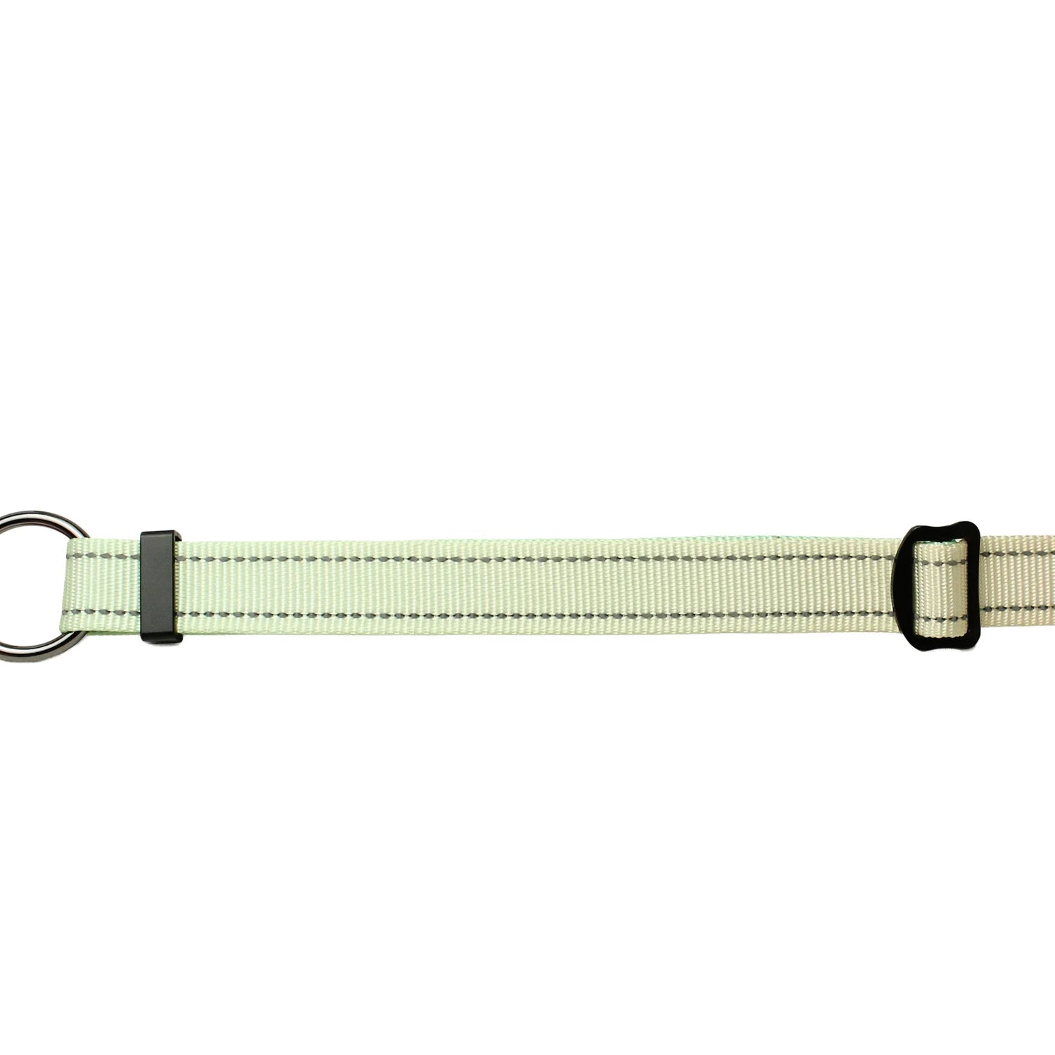 Nylon hands-free dog lead with reflective material and metal ring on a white background