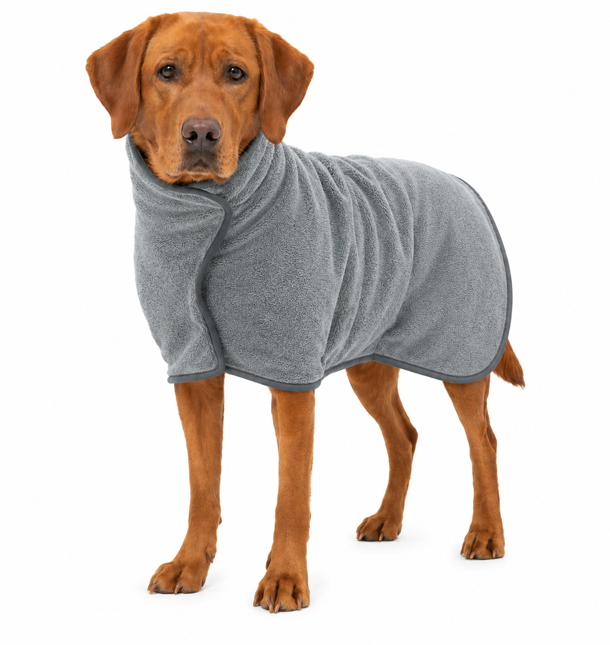 Storm Dry Microfibre Dog Drying Coat