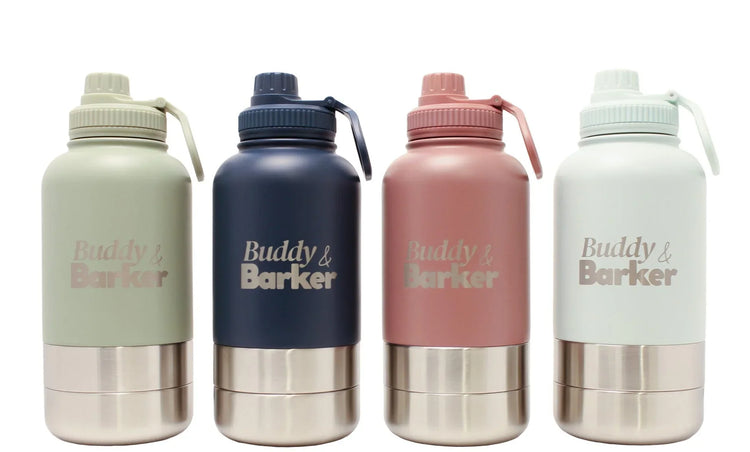 Travel and Adventure