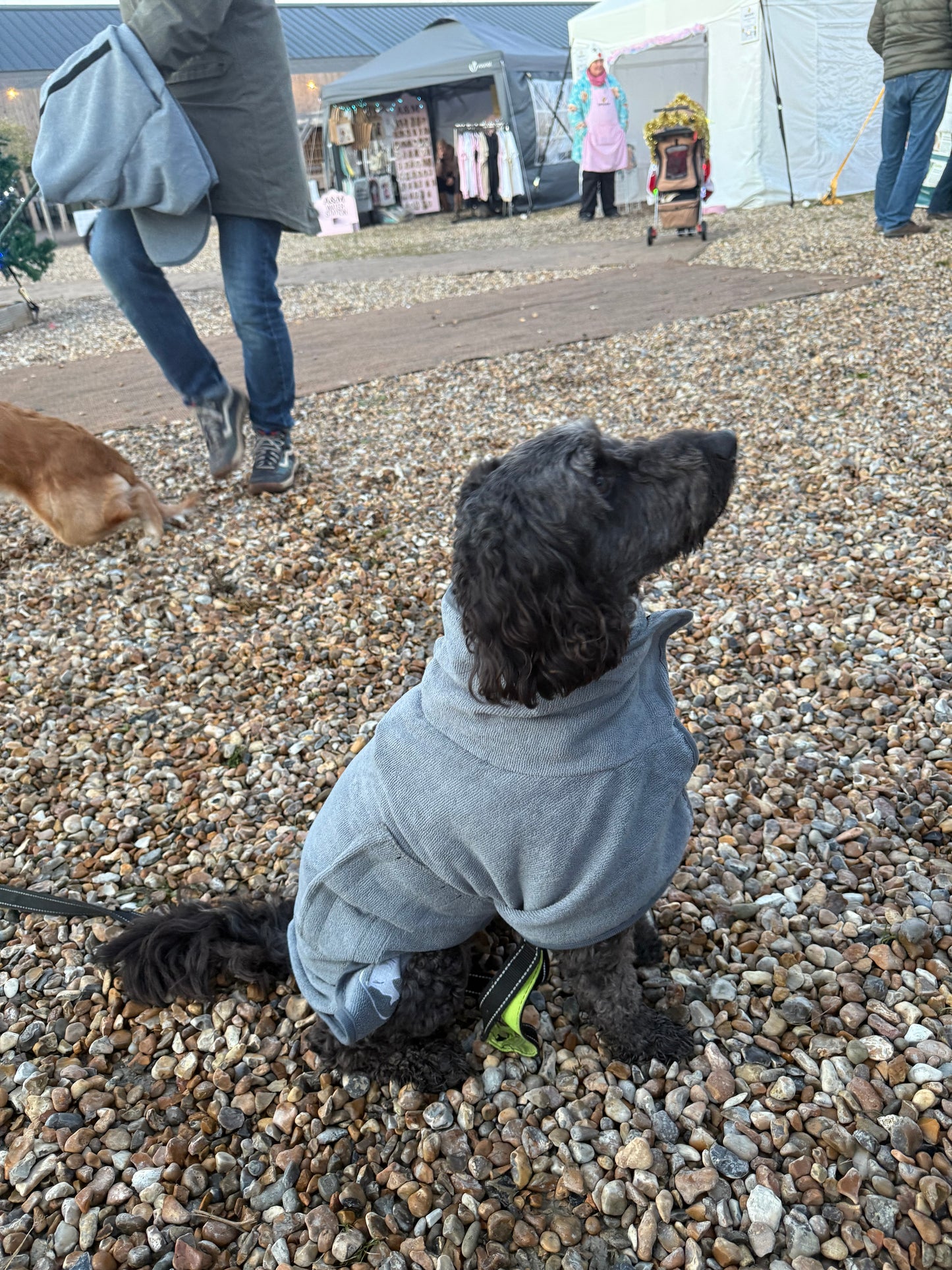 Micro Fibre Dog Towel