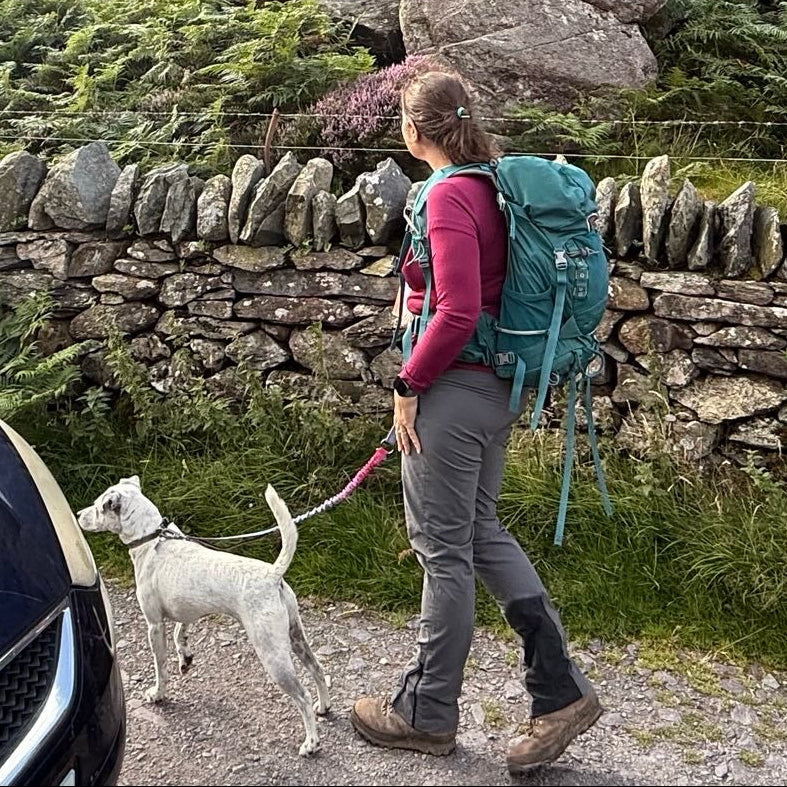 Person with a backpack walking a dog on a hands free lead near a stone wall