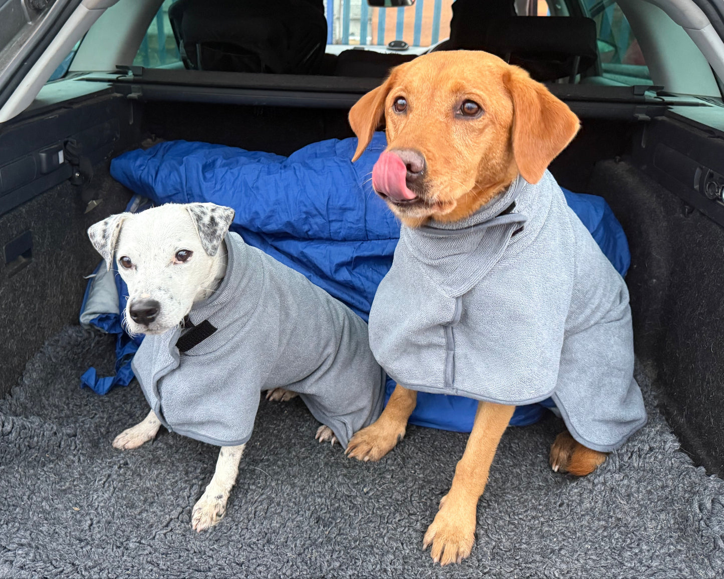 Micro Fibre Dog Towel