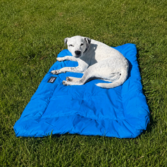 A white dog from Buddy And Barker sitting on a blue portable roll up dog bed outside.