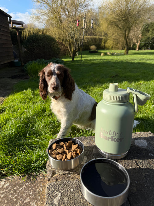 Dog standing next to a bowl of treats and a water bottle from Buddy And Barker in a garden.
