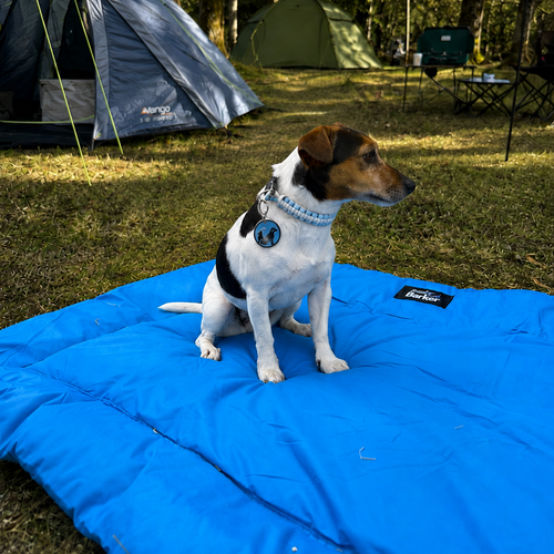 A small black-and-white dog sits on a bright blue camping dog bed, with tents and trees in the background.
