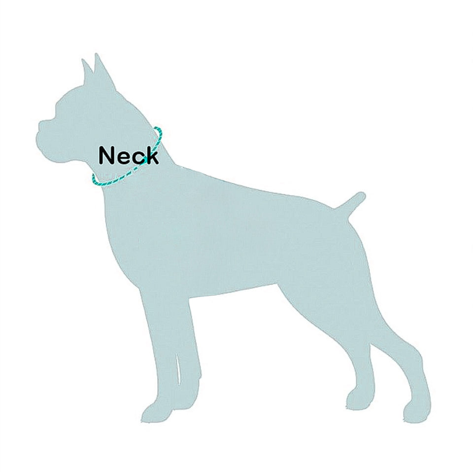 Diagram showing how to measure a dog's neck for a collar.
