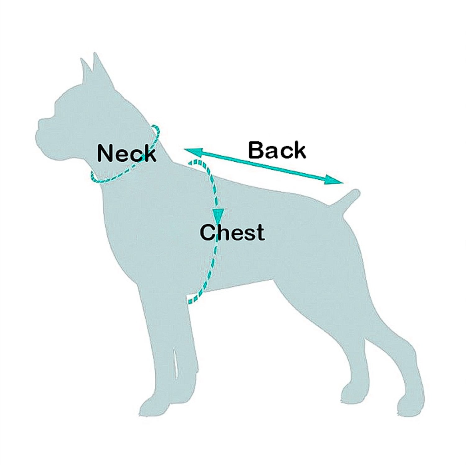 Diagram of a dog with labeled neck, back, and chest areas.