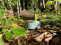 Stainless steel dog bowl on leaves in a forest