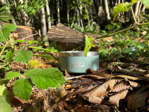 Stainless steel dog bowl on leaves in a forest