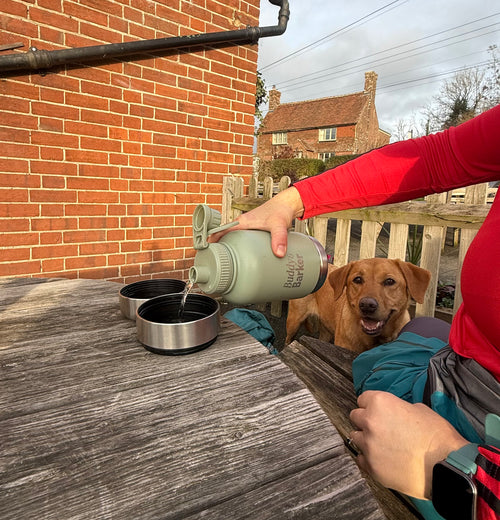 Person pouring water from a travel bottle into a dog's bowl with a dog watching, outdoors.