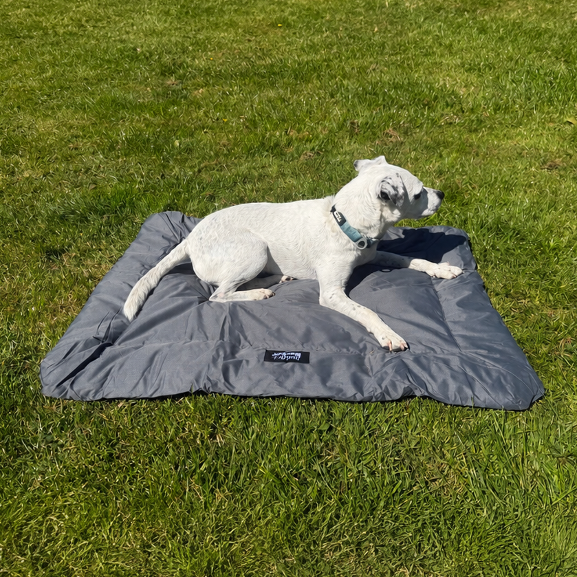 A white dog lies on a grey rectangular roll up dog bed, placed on a green grass lawn.