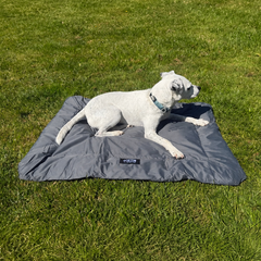 A white dog lies on a grey rectangular roll up dog bed, placed on a green grass lawn.