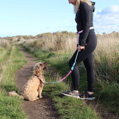 A dog walker, in a field with a dog on a hands free lead