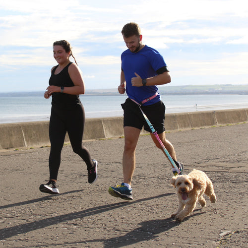 Couple running with dog using pink hands-free running lead