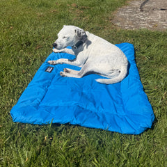 White dog lying on a blue bed in a grassy area
