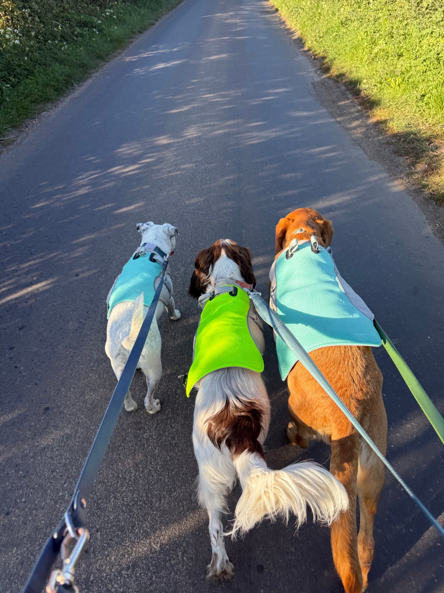 Cooling Dog Coat