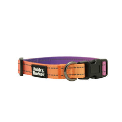 Hands-free Dog collar with orange, purple, and pink colours on a white background