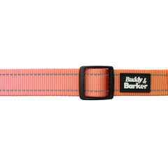 Orange dog collar with a black buckle and 'Buddy & Barker' label on a white background