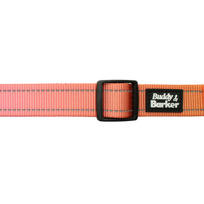 Hands-Free Running Collar