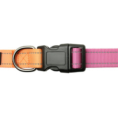 Dog collar with orange and pink straps on a white background