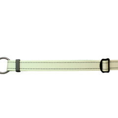 Nylon hands-free dog lead with reflective material and metal ring on a white background