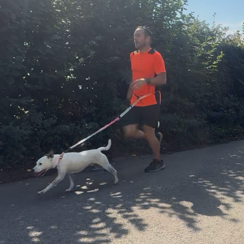Runner with dog on a lead
