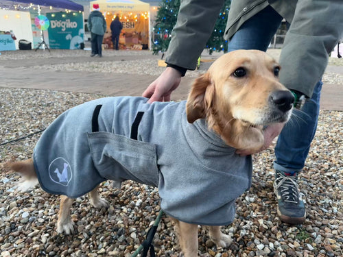Dog wearing a grey microfibre dry towel with a person standing nearby on a pebbled surface.