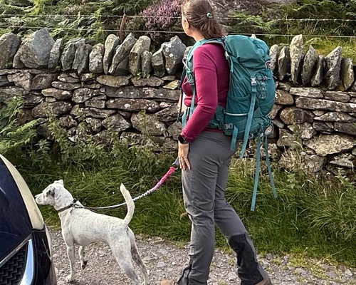 Person with a backpack walking a dog near a stone wall in a natural setting