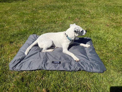 White dog lying on a grey roll up dog bed in a grassy area