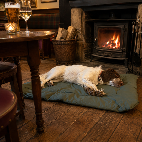 A white and brown dog lies on a green Green portable dog bed in a pub setting