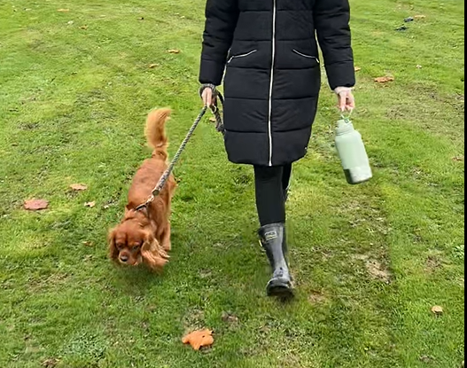 Person walking a dog on a leash with a green dog travel bottle in a park
