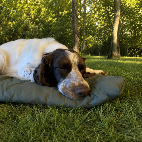 A Spaniel sleeping on a dark green outdoor dog bed.