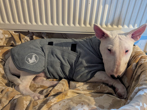 Dog wearing a grey crying coat with a Buddy And Barker logo, lying on a patterned blanket.